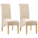 Lellen Stretch XL/Oversized Extra Large Velvet Dining Room Chair Covers for Kitchen Dining，Removable Washable Chair Protectors Slipcovers Large Velvet Dining Chair Covers（Cream，2PCS）