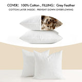 MIULEE Pack of 2 18 * 18 Corduroy Soft Soild Decorative Square Throw Pillow Covers Christmas Red and Pack of 2 18x18 Feather Pillow Inserts for Sofa Bed