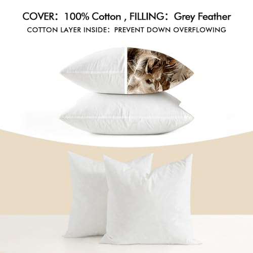 MIULEE Pack of 2 Christmas Red Corduroy Decorative Throw Pillow Covers 18x18 Inch Soft Boho Striped, 18x18 Pillow Inserts Pack of 2 Down Alternative Decorative Feather Throw Pillow Inserts for Sofa Be