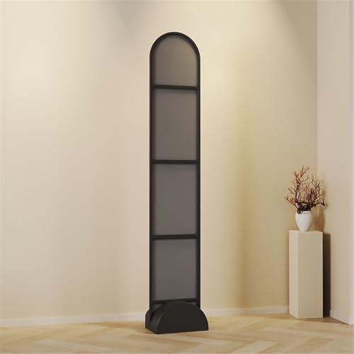 FKEE55UED Floor Simple, High-Definition Glass Full-Length Mirror for Bedrooms Clothing Stores and Fitting Rooms Mirror(Black)