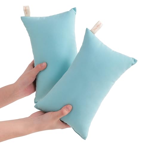 NTBAY Tiny Pillows, Down Alternative 7"x11" Microfiber Mini Pillow for Travel, Pets, Soft Machine Washable Small Pillows for Neck, Wrist, Lumbar and Knee, Aqua