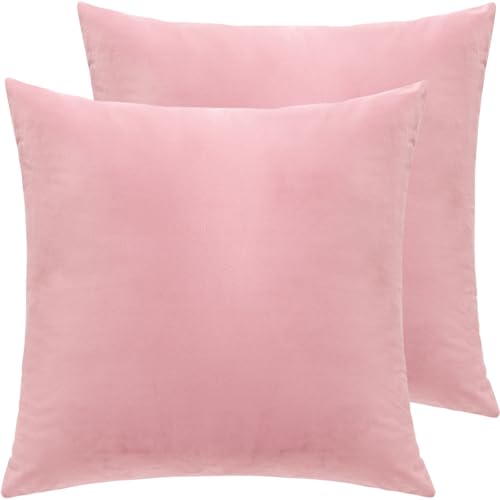 Velvet Decorative Throw Pillow Covers, Soft Square Cushion Case Home Decor for Living Room Couch Bed Sofa, Set of 2 Pack, Pink, 18x18 Inch