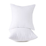 Throw Pillow Inserts, 20x20 Inch Decorative for Sofa, Bed and Chair, Cotton Cover, Set of 2, White
