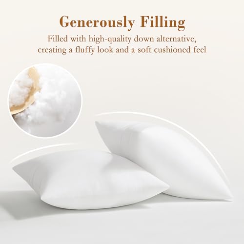 puredown® 20x20 Pillow Inserts, Fluffy Plush Square Form Sham Stuffer Set of 2, Decorative Down Alternative Pillows for Couch, Sofa, Bed and Home Decor