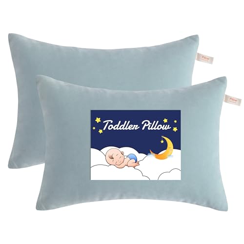 NTBAY Toddler Pillows, Set of 2, 13"x18", Sea Green