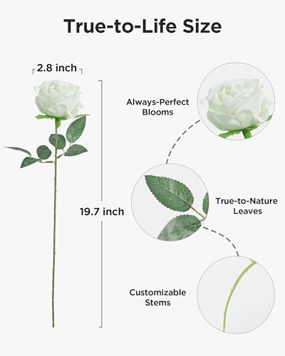 InnoGear 50 Pcs White Roses Artificial Flowers, Fake Velvet Silk Rose Bulk Faux Flower for Mother's Gift Decoration DIY Wedding Centerpieces Proposal Bridal Bouquets Party Floral Decor (50, White)