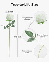 InnoGear 50 Pcs White Roses Artificial Flowers, Fake Velvet Silk Rose Bulk Faux Flower for Mother's Gift Decoration DIY Wedding Centerpieces Proposal Bridal Bouquets Party Floral Decor (50, White)
