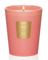 M&SENSE Tropical Spice Peach Soy Candle, 14.1oz, Summer Fruit Scent