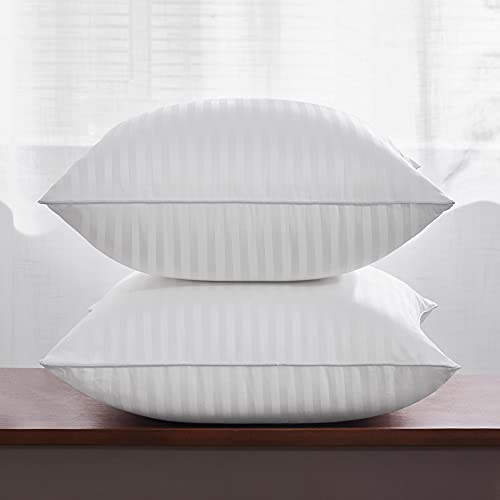 Oubonun 24 x 24 Throw Pillow Inserts, Firm and Fluffy Decorative Square Pillows for Couch Bed Sofa with Soft Cotton Cover White Cushion with Down Alternative Pack of 2