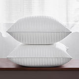 Oubonun 18 x 18 Throw Pillow Inserts, Firm and Fluffy Decorative Square Pillows for Couch Bed Sofa with Soft Cotton Cover White Cushion with Down Alternative Pack of 2