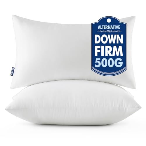 MIULEE 16x24 Throw Pillows Inserts 2 Pack, Decorative Pillows for Couch Bed