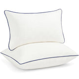 Oubonun 16x24 Pillow Inserts Set of 2 - Rectangle Decorative Throw Pillows for Sofa Couch Bed Living Room Beige 100% Polyester Filling 16 x 24 Inch Lumbar Pillows