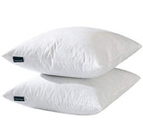 basic home® Hotel-Style 26x26 Goose Feather Down Euro Pillow Insert for Sofa & Bed - 100% Odorless & Plump Cushion Filler - 233TC Cotton with Inner Liner to Prevent Poking (26x26 Inch)