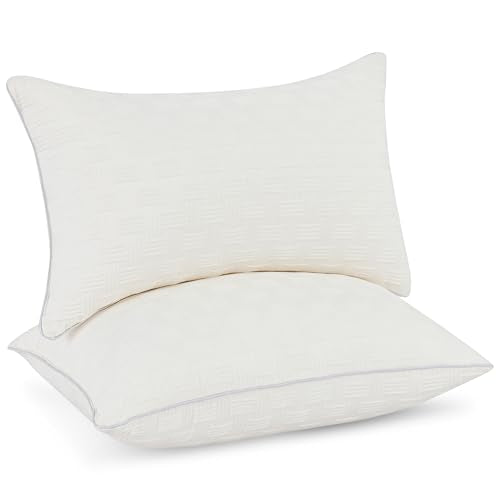 Leeden 12x20 Pillow Insert Set of 2 - Firm and Fluffy Lumbar Pillow Inserts, Rectangle Interior Sofa Pillow Inserts, Decorative Pillow Insert Pair - Beige Couch Pillow