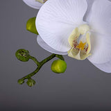 Fnize Orchid Stems Artificial Flowers Real Touch Latex Faux Phalaenopsis Branches 9 Large Blooms 38 Inches 2pcs White