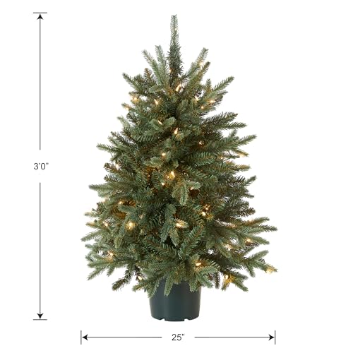 National Tree Company Artificial Christmas Tree For Entrances | Includes White Lights and Pot | Everyday Collections - 3 ft