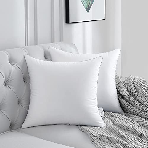24 x 24 Pillow Inserts (Set of 2) - 24 Inch Square Interior Sofa Throw Pillow with 100% Cotton Cover - Decorative Pillow Insert Pair - White Couch Pillow