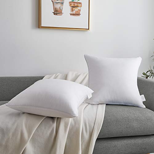 Oubonun 20 x 20 Throw Pillow Inserts (Set of 2) & 22 x 22 Pillow Inserts (Set of 2)