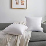 Oubonun 20 x 20 Throw Pillow Inserts (Set of 2) & 22 x 22 Pillow Inserts (Set of 2)
