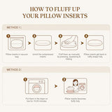 puredown® 12x20 Pillow Inserts Set of 2, Fluffy Overfilled Down Alternative Lumbar Pillows, Soft Plush Decorative Throw Pillows for Couch, Sofa, Bed and Home Decor