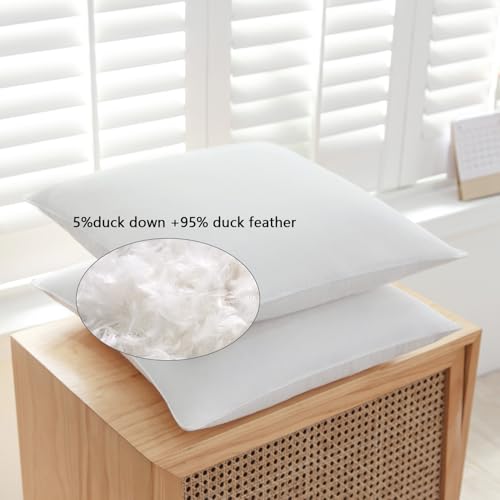 SleepMan Throw Pillow Inserts 14" x 24" (Pack of 1, White) Down Feather Pillow Stuffer Premium Decorative Pillows for Sofa Couch Bed
