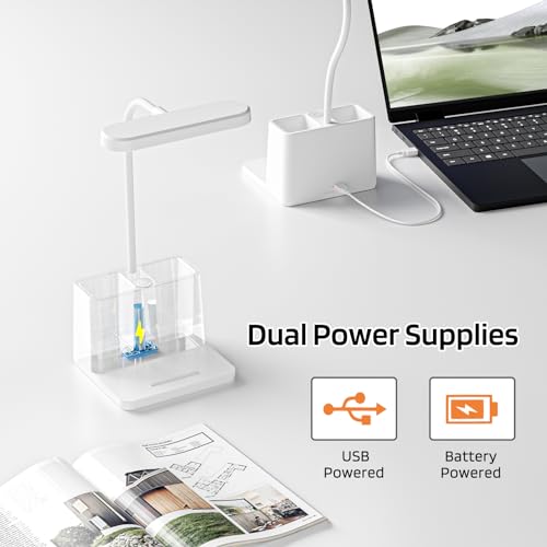 Rechargeable Small Desk Lamp for Home Office Bedroom, Study Table Light for Kids Teens, White, LED, Pen Holder, Mini, Gooseneck, College Dorm Room Lighting for Computer Keyboard Desktop Task