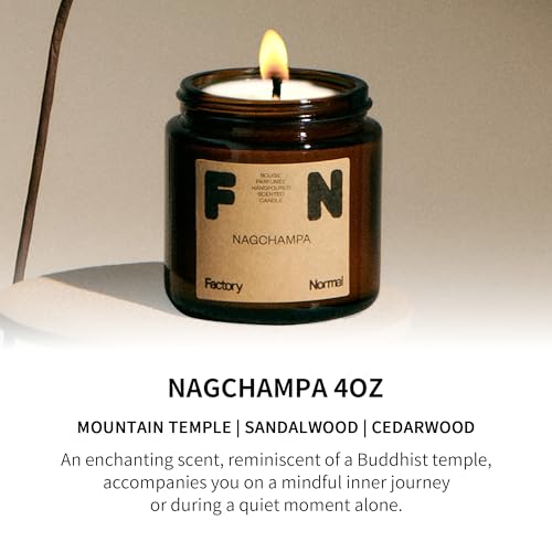 Scented Soy Candle Amber Jar Perfume Candle Aroma Healing Gift (4oz, Nagchampa)