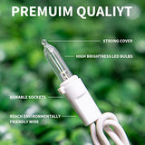 LAMPHOME 100 Mini LED Count Warm White -String Lights - 21.6FT LED Christmas Lights, Mini led Lights for Outdoor Home Holiday Party Wedding Independence Day Decoration