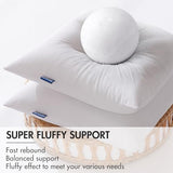 MIULEE 18x18 Outdoor Pillows,Set of 4 Throw Pillows Waterproof,Soft Support Throw Inserts Decorative Water Resistant for Patio Furniture and Garden