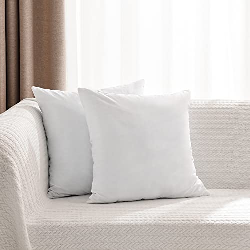 basic home 20x20 Pillow Inserts-Shredded Memory Foam Fill-High Density Throw Pillow Inserts with Long Support-Home Couch Hotel Collection-Cotton Fabric-2 Pack