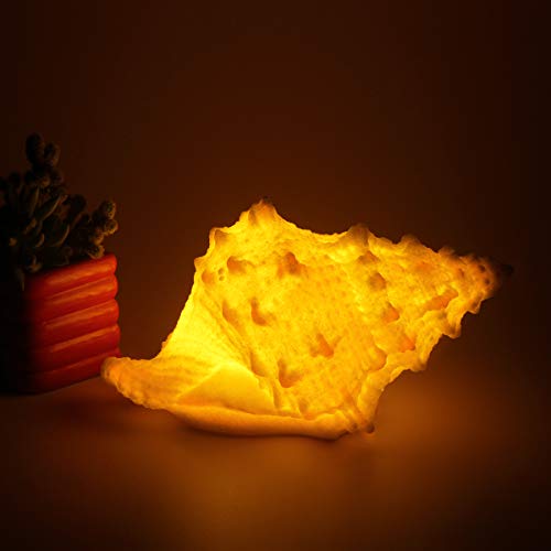 GREENIC Portable Conch Shell Beach Themed Night Light w Timer for Kids Adults Bedroom Nightstand Lamp Nautical Lighting Battery Operated, Warm White