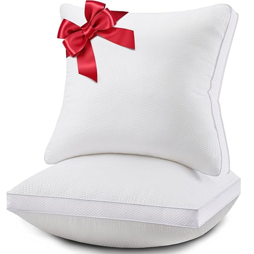 24x24 Pillows Inserts Set of 2, Throw Pillows 24 Inch Premium Down Alternative Pillow Inserts, 24 by 24 Square Premium Cushion with 100% Cotton Cover for Bed, Sofa, Couch