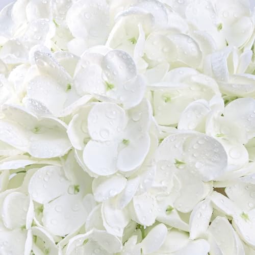 Yastouay 3 Pcs Real Touch Hydrangea Artificial Flowers, 21" White Full Faux Hydrangea Flowers Latex Fake Flowers for Home Decor Party Floral Arrangements Wedding Bouquets Centerpieces Outdoor Decor