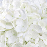 Yastouay 3 Pcs Real Touch Hydrangea Artificial Flowers, 21" White Full Faux Hydrangea Flowers Latex Fake Flowers for Home Decor Party Floral Arrangements Wedding Bouquets Centerpieces Outdoor Decor