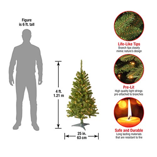National Tree Company 4 ft Pre-Lit Grande Canadian Fir Mini Artificial Christmas Tree, 100 Clear Lights, 230 Tips, Includes Stand, Green