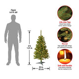National Tree Company 4 ft Pre-Lit Grande Canadian Fir Mini Artificial Christmas Tree, 100 Clear Lights, 230 Tips, Includes Stand, Green