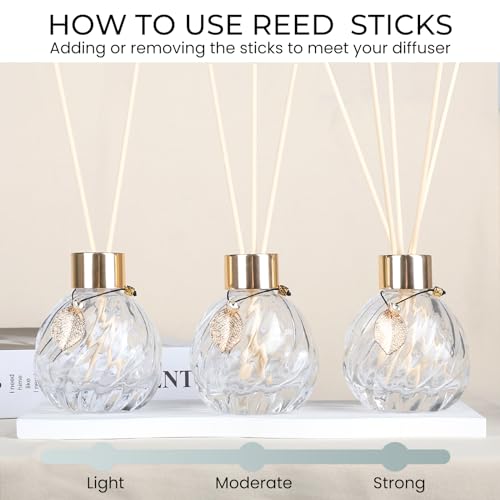 4-Piece Reed Diffuser Set with Metal Golden Decoration, 3.5-4.2oz Empty Bottles and 20 Reed Sticks, Unique Design for Home and Office (4 Different Bottles)