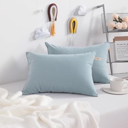 NTBAY Toddler Pillows, Set of 2, 13"x18", Sea Green