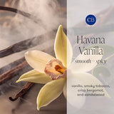 Capri Blue Havana Vanilla Scented Candle, 10 oz