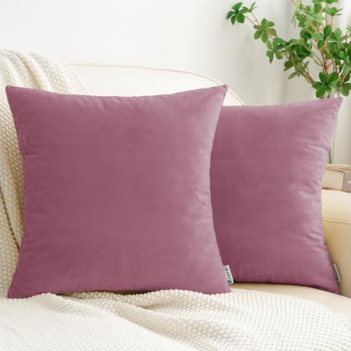 HWY 50 Purple Pink Throw Pillow Covers Velvet 18x18 Inch Pack of 2