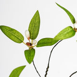 Melorca&Guilla Artificial Plants,4PCS 43.3" Green Faux Branches for Vase,Faux Greenery Stems Vase Branches Fake Plants Artificial Branches for Shop Garden Office Home Décor (4, Myrtus communis)