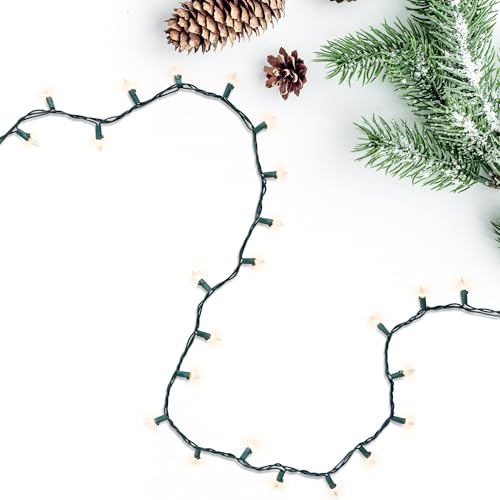Northlight Mini Christmas Light Set -Clear - 4' Green Wire - 20ct