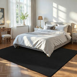 ISEAU 5x7 Soft Area Rug for Living Room, Washable and Non-Slip, Black