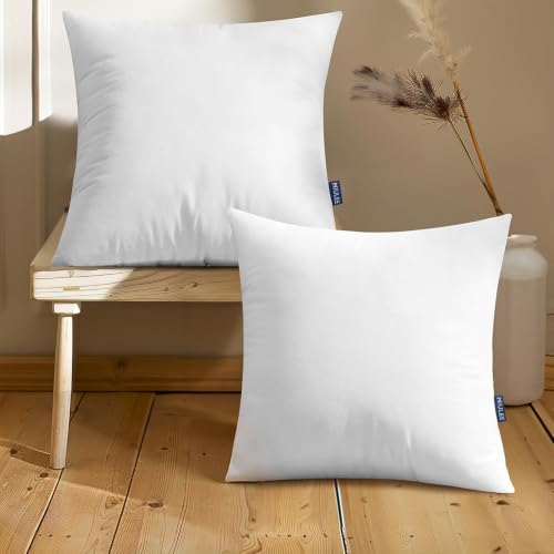 MIULEE Pillow Insert 20x20 Inch Set of 2 Decorative Throw Pillow Inserts