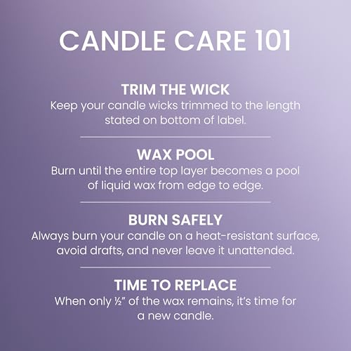 Yankee Candle Lemon Lavender Scented Candle, 14.5oz 3-Wick