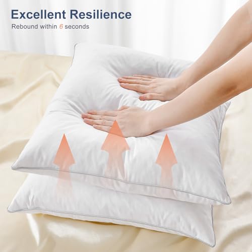 Lewondr 18x18 inch Pillow Insert Set of 2, Down and Feather Throw Pillow Inserts Premium Soft Fluffy with Piping Edge, 100% Down-Proof Square Pillow Insert for Living Room Sofa Couch Bed, White