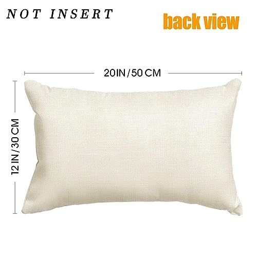 RABUSOFA Hello Sunshine Quote Sunflower Spring Summer Pillow Covers,Seasonal Outdoor Decorative Cushion Case Summer Decorations for Home Sunflower Decor 12x20 Inch