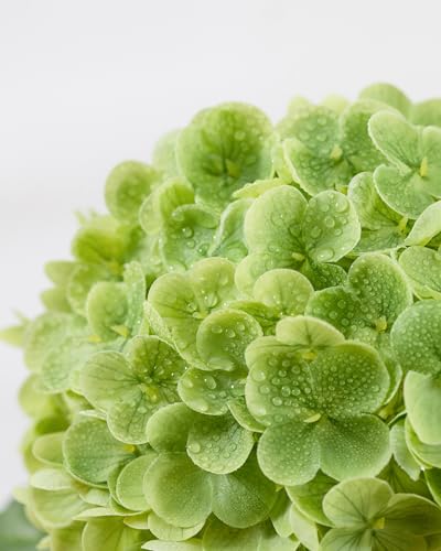 DuHouse 3Pcs Large Hydrangea Artificial Flowers,20 inch Latex Real Touch Hydrangeas Lifelike Hydrangea Flower for Home Wedding Bouquets Centerpieces Party Living Room Decoration(Green)
