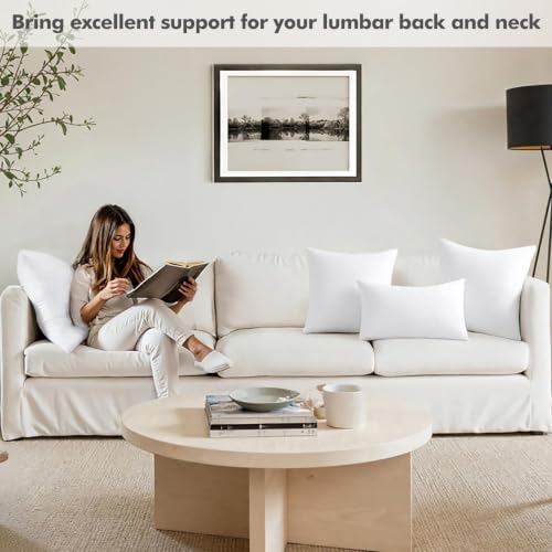 MIULEE 24x24 Euro Pillow Insert, Throw Pillow with Virgin Fiber Filling