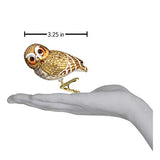 Old World Christmas Pygmy Owl Glass Blown Ornament for Christmas Tree, Handcrafted Holiday Decoration, Owl Collection